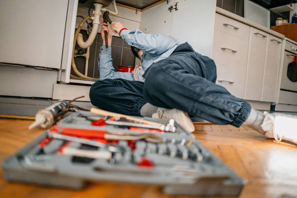 Best Affordable Plumber Near Me  in Shady Hollow, TX