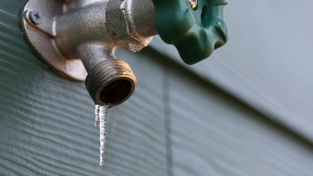Best Drain Cleaning Services  in Shady Hollow, TX