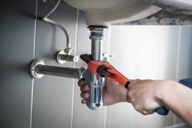 Best Clogged Drain Plumber  in Shady Hollow, TX